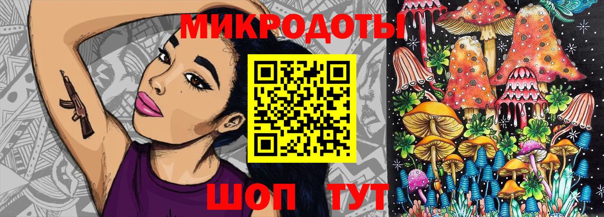 Галлюциногенные грибы Psilocybe  Вход с VPN  Кимовск 